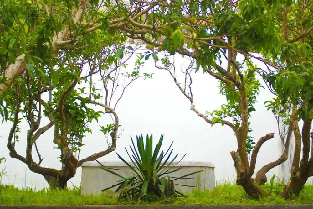 Casa Do Comendador São Roque do Pico Exterior foto
